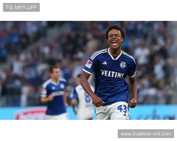 新星韦德拉奥果受挫前行路仍然